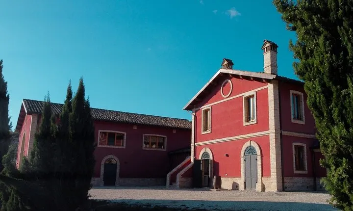 Visit and tasting at the Erasmo winery between signature wines