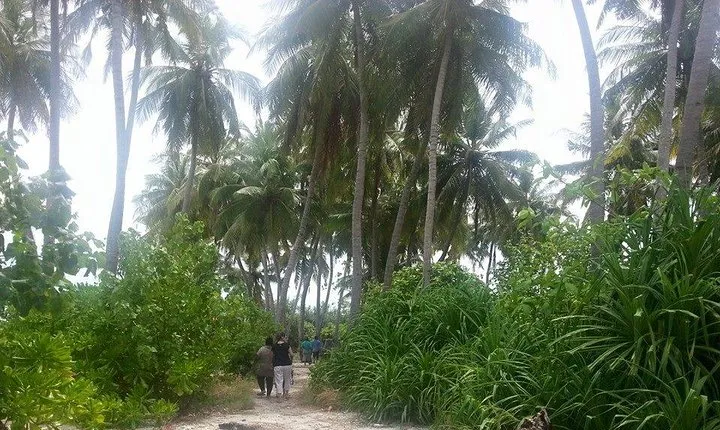 Local Island Day Trip from Hulhumale