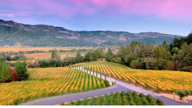 1-day tour to Napa Valley and Hawk Hill | Admission ticket not included
