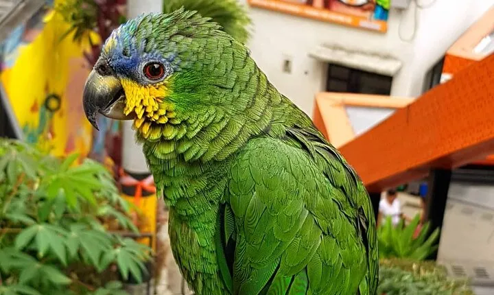 Comuna 13 Graffiti Tour with Street Food