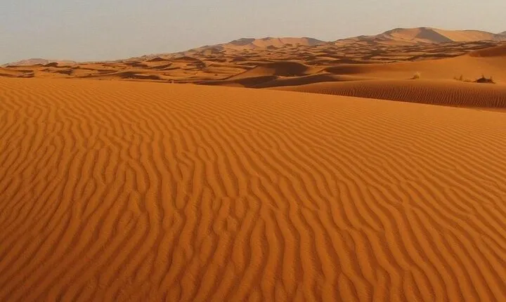 Rally over Merzouga dunes with a visit to the Oasis