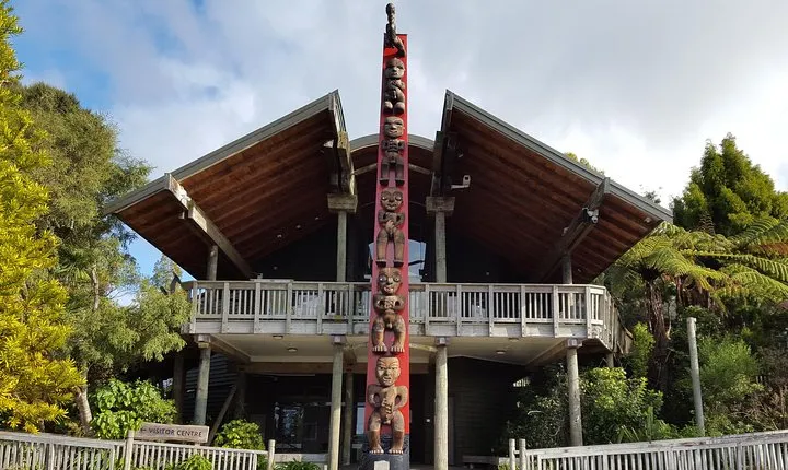 Afternoon Piha Beach and Rainforest Tour from Auckland
