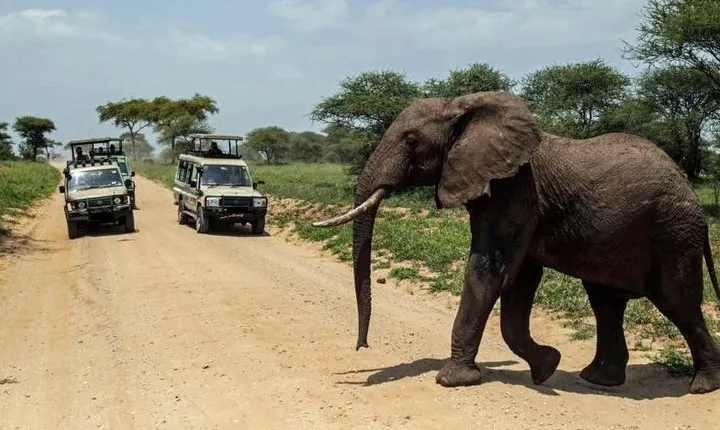 15 Days Spectacular Kenya & Tanzania Safari with Zanzibar Beach