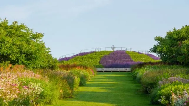 RHS Garden Wisley Ticket Adult