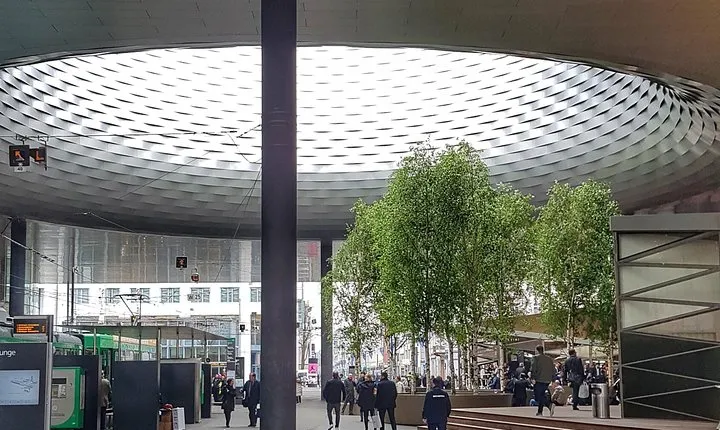 Discover Basel's Charm: Exclusive Private Walking Tour