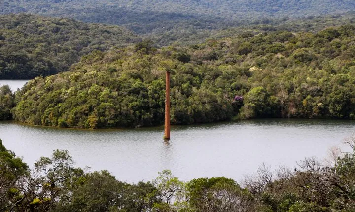 Scenic Train ride to historical cities of Morretes and Antonina