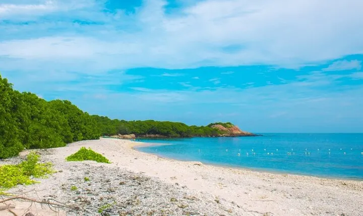 Trincomalee and Nilaveli beach Tour from Dambulla