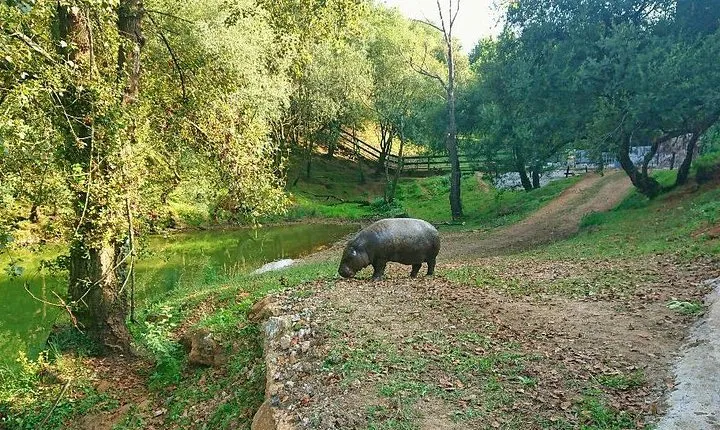 Cabarceno Natural Park Visit