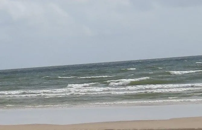 A Night on Marajó Island - 2D1N