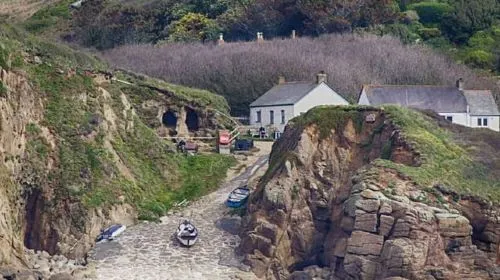 Cornwall: 2 hour Wildlife Watching RIB Tour Adventure