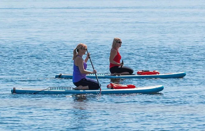 Dolphin and Manatee Stand Up Paddleboard Tour in Daytona Beach