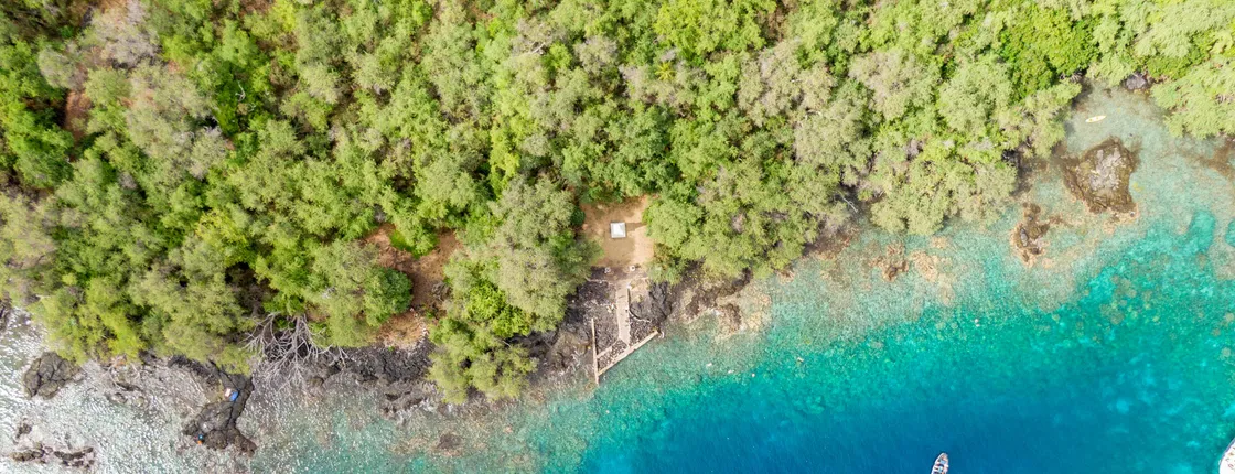 4-hour Kealakekua Bay snorkeling adventure