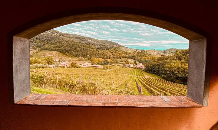 Lucca: Wine Tasting Experience - Tenuta Adamo Winery