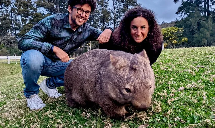Wild Wombat and Kangaroo Day Tour from Sydney
