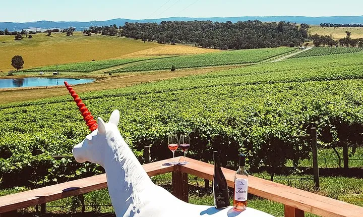 Epic Yarra Valley Wine, Beer/Gin* & Choc Tour + 2-Course Lunch