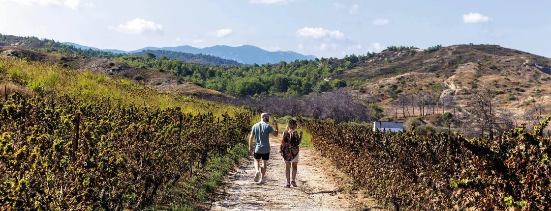 Nat Geo Day Tour: Wine in the Canary Islands - a Sensory Experience