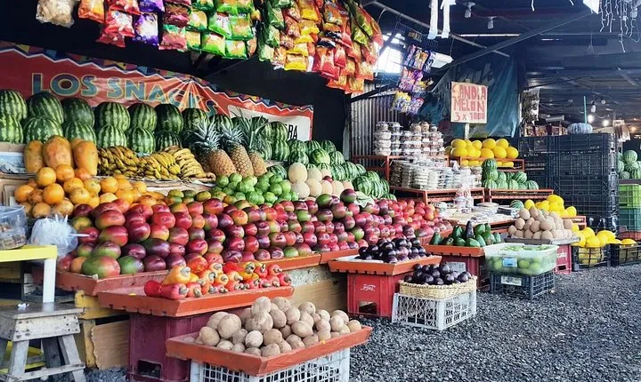 Manuel Antonio National Park Sightseeing and Wildlife Day Tour from San Jose