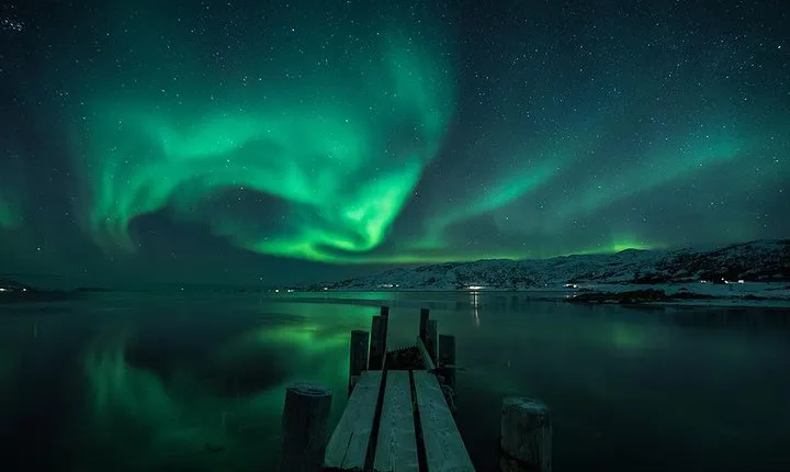 Aurora Hunt Tour from Tromso - Professional Photos Included