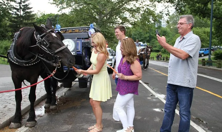 Official NYC Horse Carriage Rides in Central Park since 1979 ™
