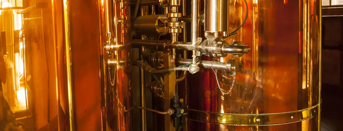 Private tour Bordeaux winery and Cognac distillery