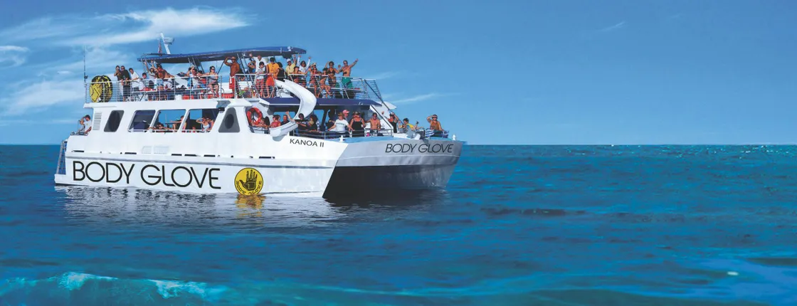 Whale watching excursion from Kona