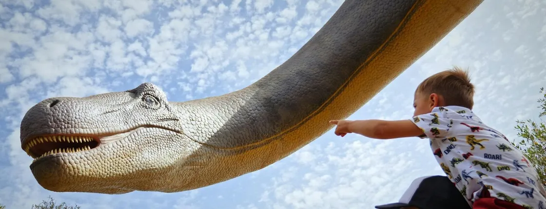 Guided tour of Hams Caves with Dinosaurland visit