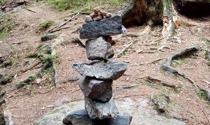 Bohemian and Saxon Switzerland National Park Day Trip from Dresden