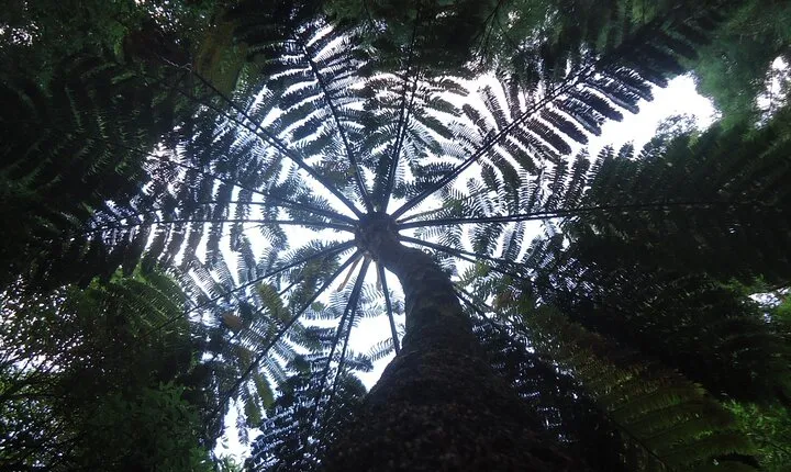 8-Hour Private Tour in 4x4 Vehicle from Ponta Delgada