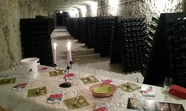 Tour of a Vineyard, Winery & Cellar with Wine Tasting in Vouvray, Loire Valley