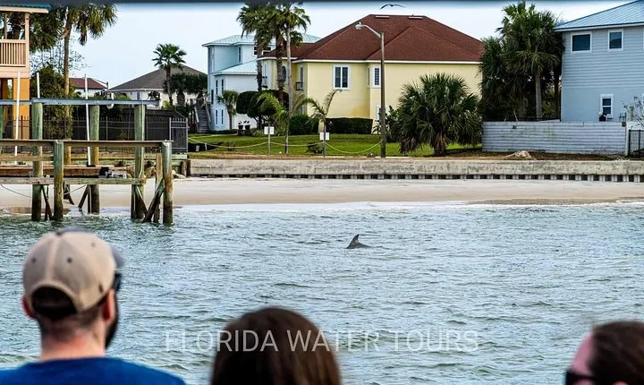 Dolphin and Wildlife Adventure of St. Augustine