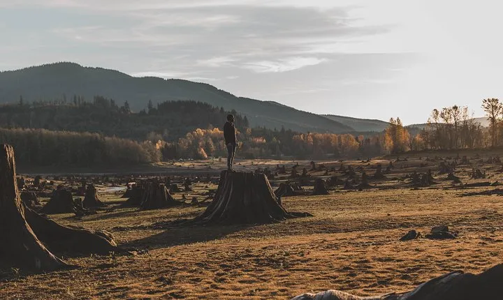 Best of Mount Rainier National Park from Seattle: All-Inclusive Small-Group Tour