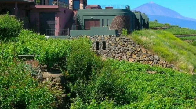 Bodegas Monje: Winery Visit & Wine Tasting