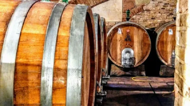 Montalcino: Vineyard Guided Tour + Wine Tasting in the Castle
