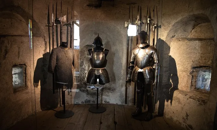 Chillon Castle Entrance Ticket in Montreux