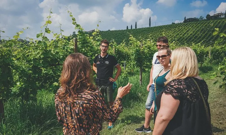 Prosecco Wine Tour from Venice: Small Group Experience