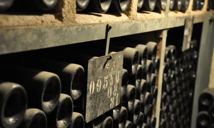 Small-Group Full-Day Tour of Côte de Nuits, Côte de Beaune Vineyards and Beaune Historical District