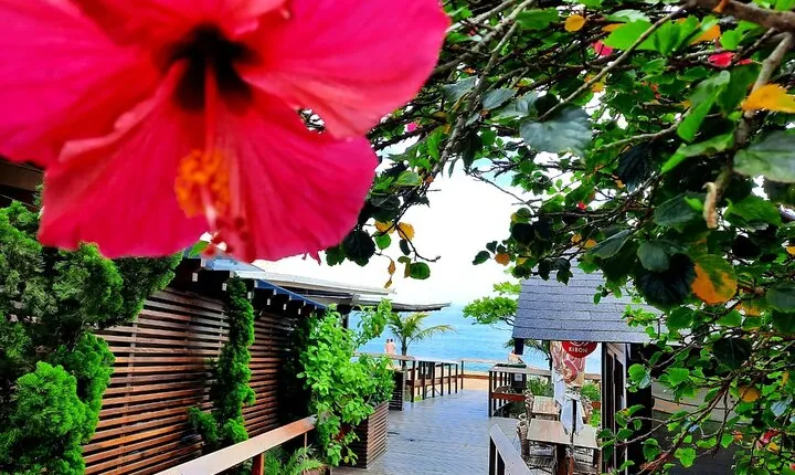 City Tour Balneário Camboriú