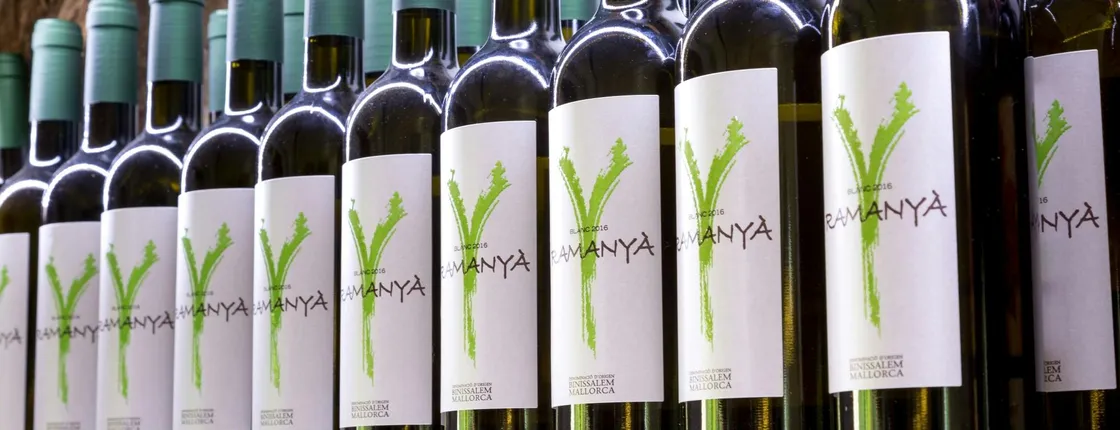 Majorca winery visit with wine and local food tasting