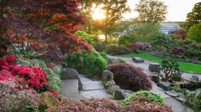 RHS Garden Wisley Ticket (Child)