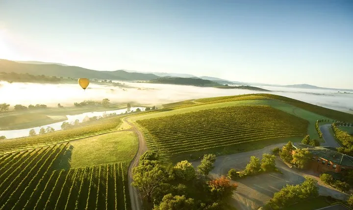 Yarra Valley Wine Day Tour 