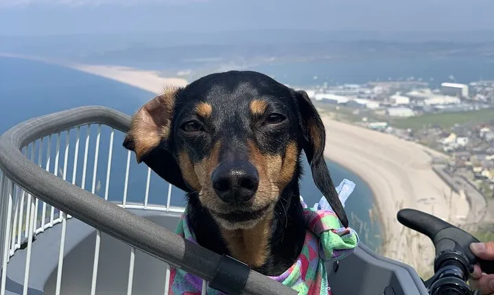 Half-Day Guided E-Bike Tour Portland with Brunch