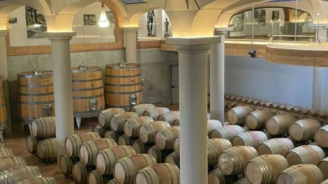 Montepulciano: Roundtrip Guided Tour of Two Wine Estates + Wine & Food Tasting