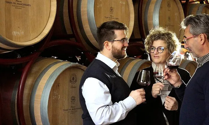 Bolgheri: Premium Wine Tasting with Winery Tour