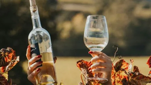 Napa & Sonoma: Guided Wine Tour from San Francisco