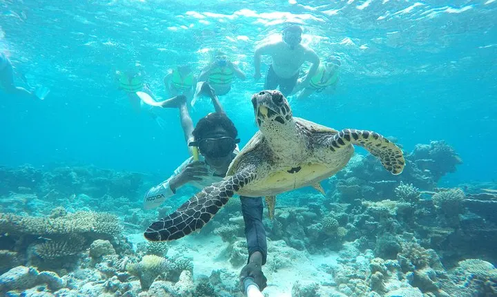 Sandbank Snorkeling and Sunset Cruise