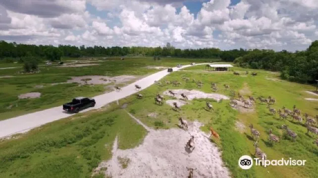 Lion Country Safari Regular Ticket Adult