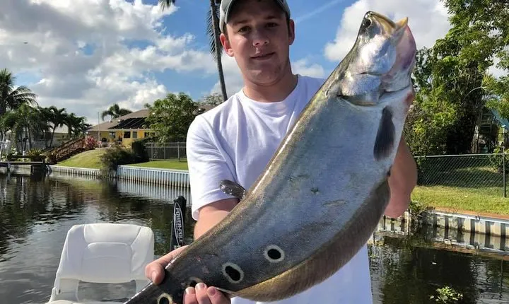 Peacock Bass Fishing Trips near Boca Raton