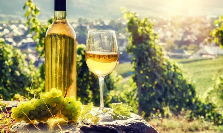 Alsace Full Day Wine Tour from Colmar