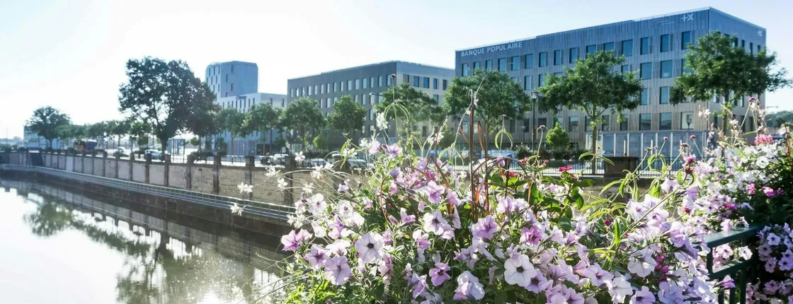 Discover Mulhouse on a guided walking tour with a local