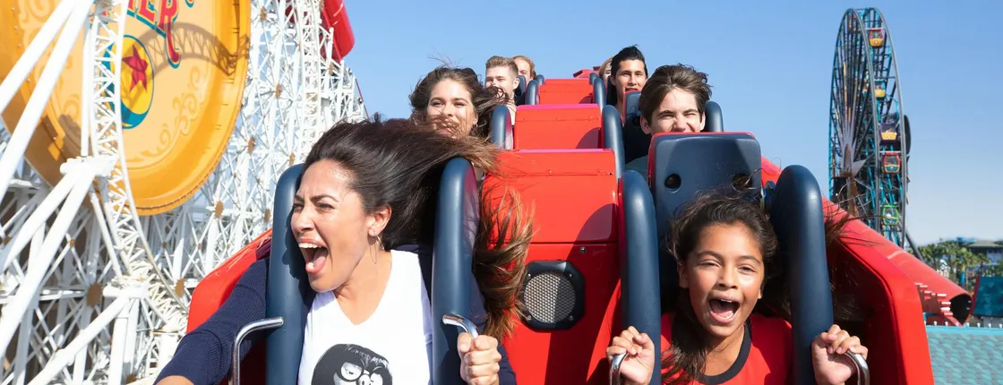 Disneyland® Resort 1 Park per day tickets